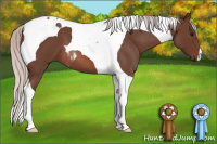 Horse Color:Silver Brown Roan Tobiano 