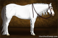 Horse Color:White Spotted Buckskin Roan Frame 