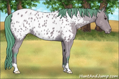 Horse Color: Watercolor Bay Blanket 
