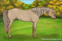 Horse Color:Chocolate Palomino Roan Dun 
