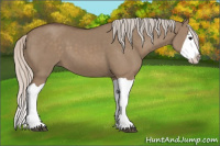 Horse Color:Silver Grullo Splash 