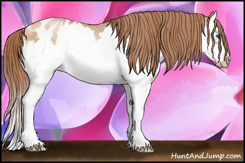 Horse Color: Buckskin Pearl Splash Frame Blanket 