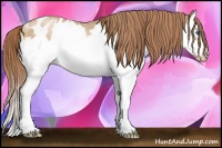 Horse Color:Buckskin Pearl Splash Frame Appaloosa 