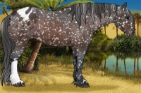 Horse Color:Brown Blanket 