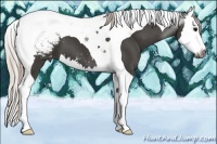 Horse Color:Gray Silver Black Splash Tobiano Snowcap 