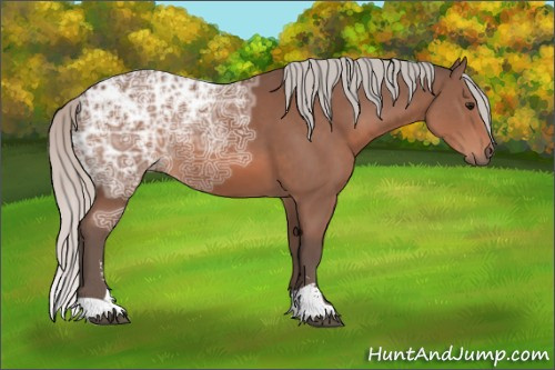 Horse Color: Silver Bay Ice Sabino 