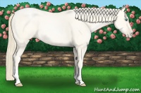 Horse Color:Amber Cream Champagne Pearl 