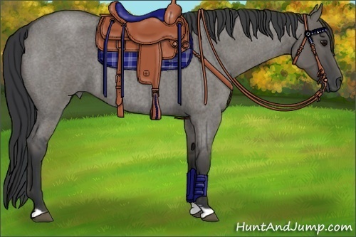 Horse Color:Grullo Roan 