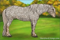Horse Color:Chocolate Palomino Roan Snowflake Varnish 