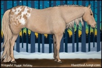 Horse Color:Chestnut Appaloosa 