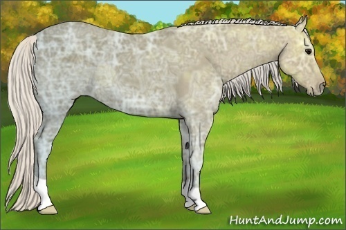 Horse Color: Silver Smoky Black Ice 