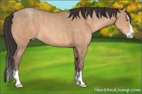 Horse Color:Amber Champagne Splash  Brindle