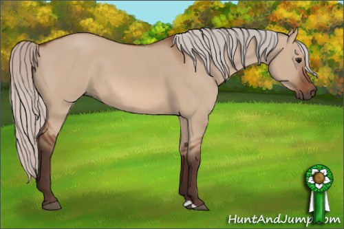 Horse Color: Silver Bay Dun 
