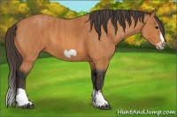 Horse Color:Bay Splash Frame  Brindle