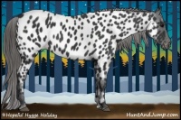 Horse Color:Black Near Leopard 