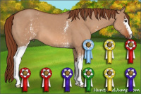 Horse Color:White Spotted Liver Red Dun 