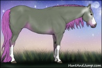 Horse Color:Gray Watercolor Chestnut 
