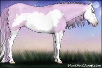 Horse Color:Gray Watercolor Gold Cream Champagne Roan Dun Splash Frame Rabicano 