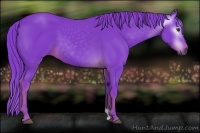 Horse Color:Gray Watercolor Chestnut 