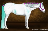 Horse Color:Gray Watercolor White Spotted Black Blanket 
