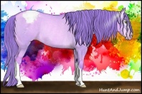 Horse Color:Gray Watercolor Gold Champagne Roan Dun Snowcap Rabicano 