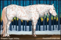 Horse Color:Gray Watercolor Chestnut Leopard 