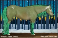 Horse Color:Gray Watercolor Bay Appaloosa 