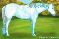Horse Color:Thunderstruck Chestnut Ice Sabino Frame