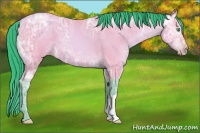 Horse Color:Gray Watercolor Amber Cream Champagne Ice Roan