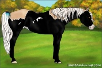 Horse Color:Silver Classic Champagne Splash 