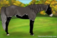 Horse Color:Smoky Black Sabino Splash 