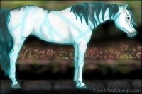 Horse Color:Gray Thunderstruck White Spotted Smoky Black Ice Frame 