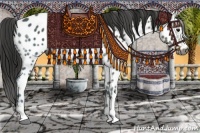 Horse Color:Gray Black Ice Appaloosa 