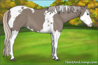Horse Color:Silver Grullo Splash Tobiano 