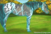 Horse Color:Thunderstruck Brown Ice Appaloosa 
