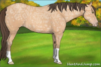 Horse Color:Amber Champagne Ice 