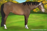 Horse Color:Gray Sable Champagne 