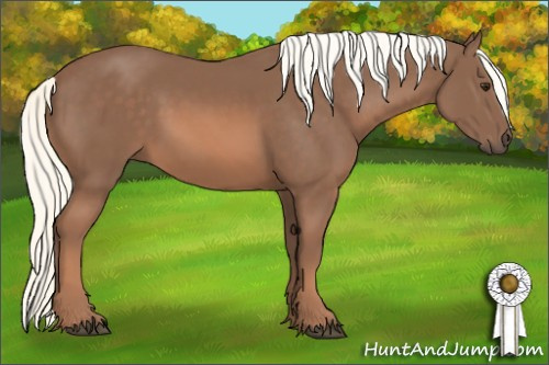 Horse Color: Chestnut Mushroom 