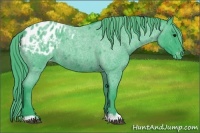 Horse Color:Watercolor Blue Roan Blanket 