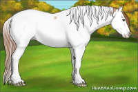 Horse Color:Liver Red Dun Splash Tobiano 