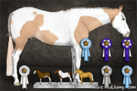 Horse Color:Gold Champagne Splash Tobiano 