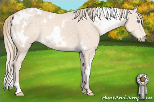 Horse Color: White Spotted Perlino 