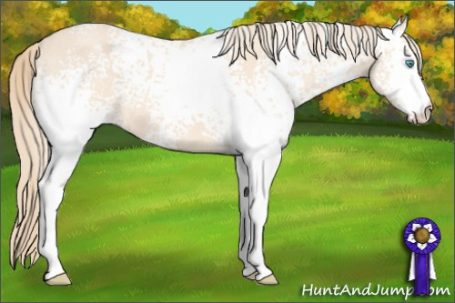 Horse Color: White Spotted Perlino 