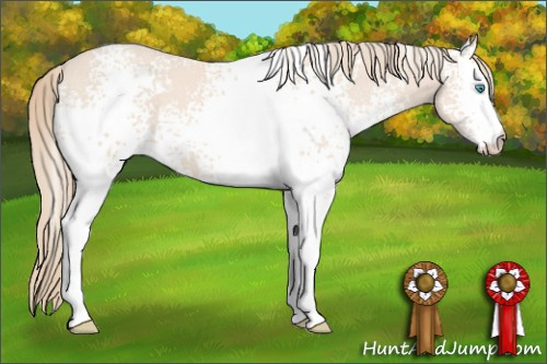 Horse Color: White Spotted Perlino 