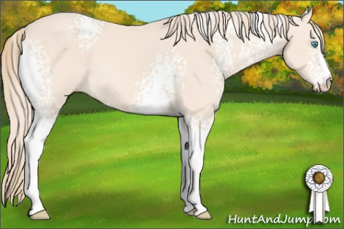 Horse Color: White Spotted Perlino 