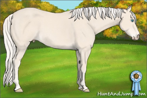 Horse Color: Cremello 