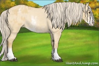 Horse Color:Palomino Dun Sabino Varnish 
