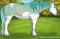 Horse Color:Watercolor Bay Roan Splash Varnish Rabicano 