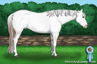 Horse Color:White Spotted Brown Splash Frame Appaloosa