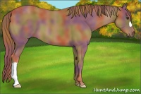 Horse Color:Nacre Chestnut 
